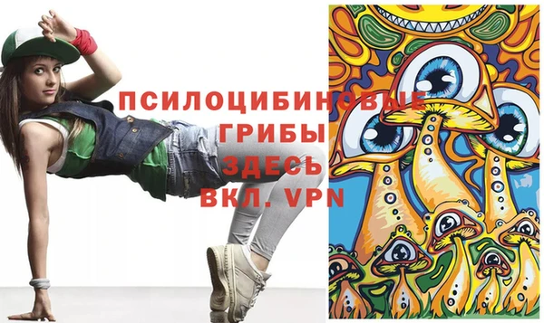 стафф Армянск