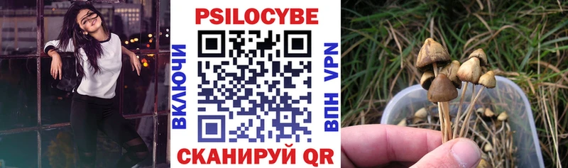 Псилоцибиновые грибы Psilocybine cubensis  Барабинск 
